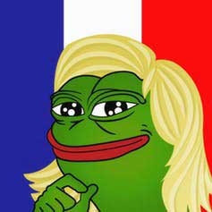 A French adaptation of a common Trump-backers’ meme: Pepe the Frog as Marine Le Pen.